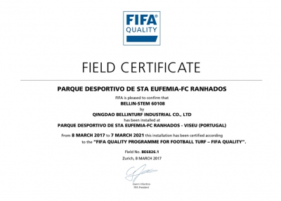 شهادة الفيفا 'FIFA'