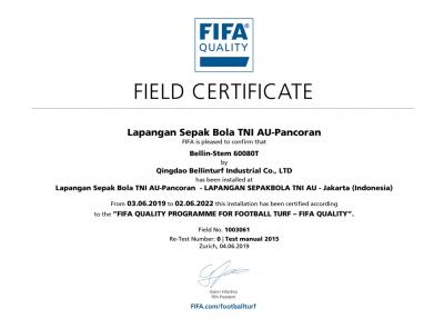 شهادة الفيفا 'FIFA'
